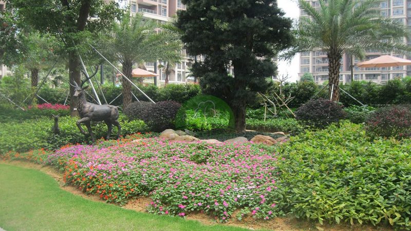 植生袋安装：如何选择合适的厂家？**
