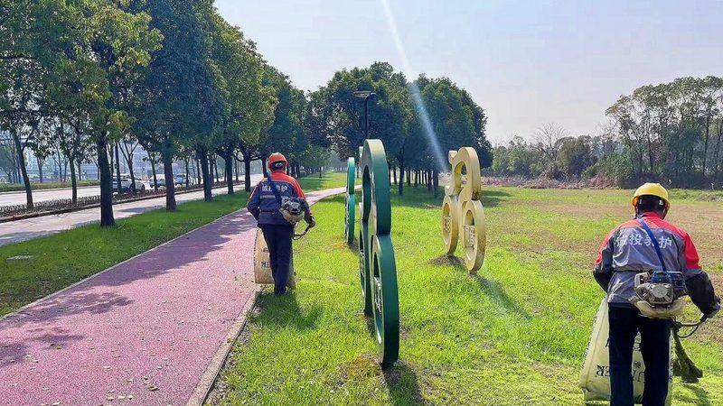 高羊茅草坪病虫害防治：关键步骤与要点解析**