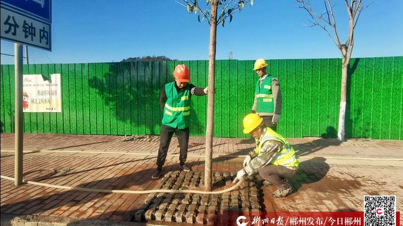 花卉租摆定制方案：打造个性化绿植空间的秘诀**