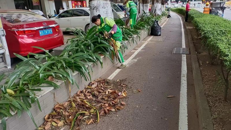 现代中式庭院设计：探寻传统与现代的和谐交融