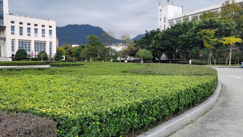 园林工程投标报价，如何做到既合理又竞争？**