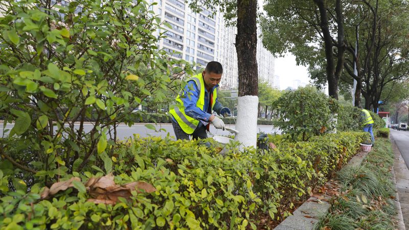 上海园林绿化工程报价清单：揭秘价格构成与影响因素**