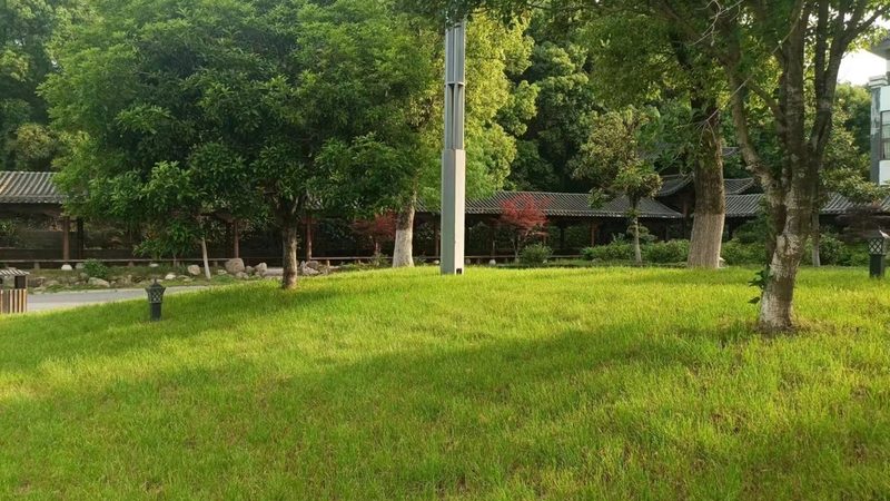 市政园林苗木招标报价：如何精准把握关键要素**