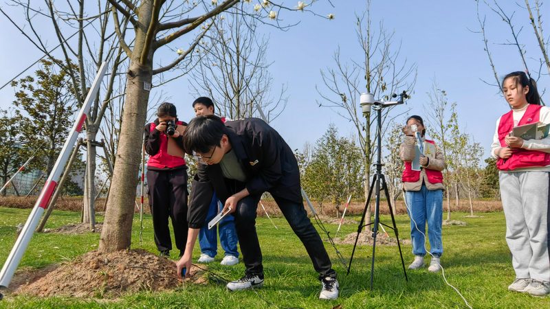 立体绿化养护工人培训：提升技能，守护城市绿肺**
